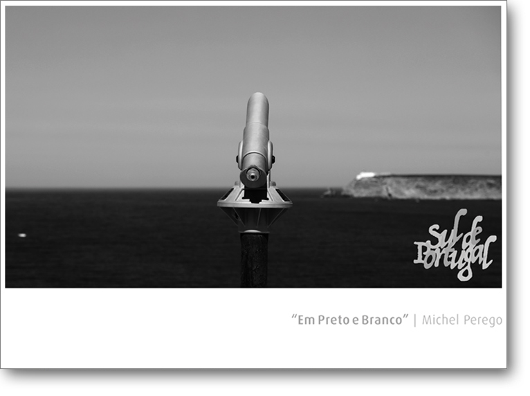 Livre Michel Perego 2024