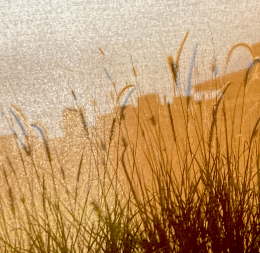 Sans Filtre - iPhone